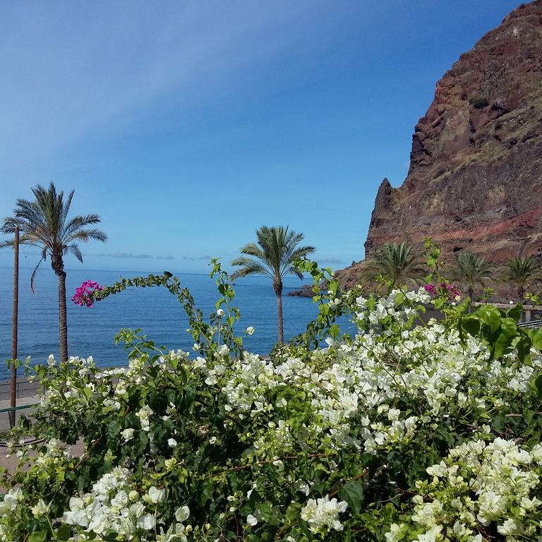 Apartamento Vai Vem Madalena do Mar 外观 照片